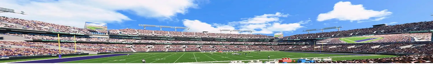 Cheap Baltimore Ravens 2025 Tickets No Fees