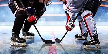 Stanley Cup Playoffs