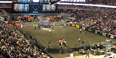 Image of Rodeo
